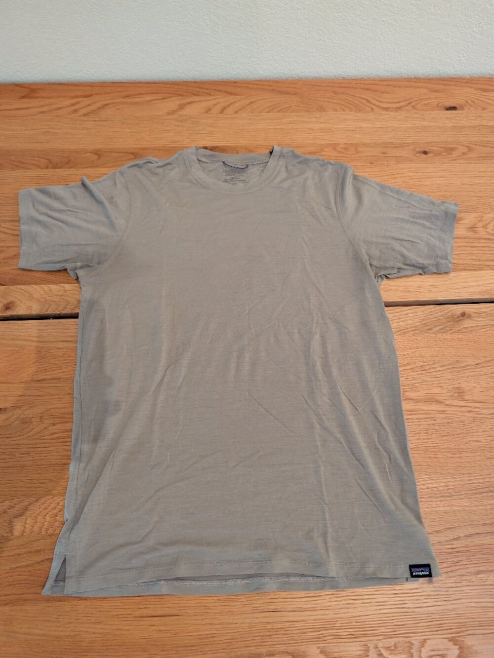 Patagonia Capilene Cool Tee Shirt (Men's Medium)